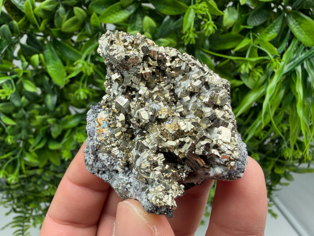 Pyrite Sphalerite Quartz  Mineral Specimen, Krushev dol Mine