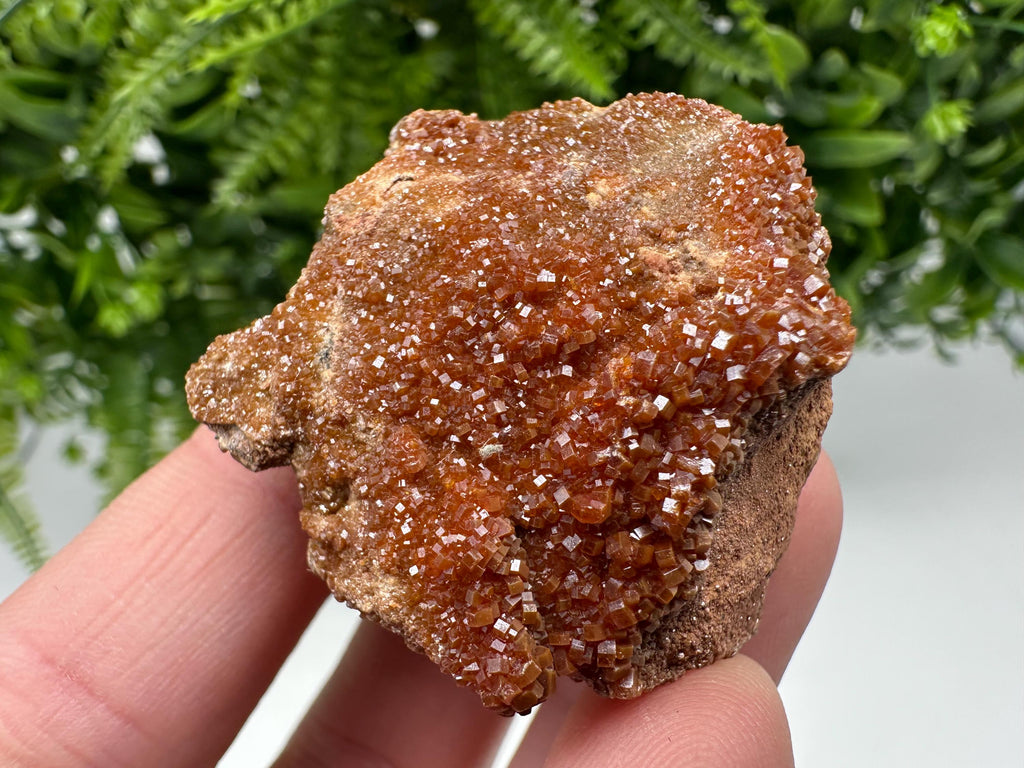 Red Vanadinite on Matrix from Marocco,crystal minerals Speciment cluster Vanadinite crystal Vanadinite Geology Vanadinite cluster minerals