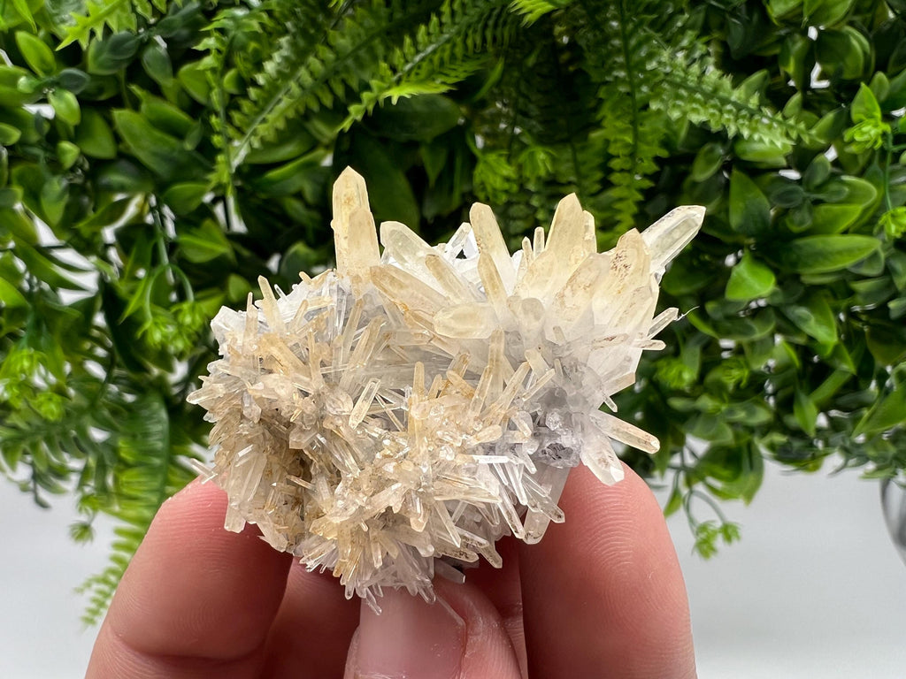 Stunning Quartz from 9 th September mine,Bulgaria,Quartz iron oxide limonite quartz,yellow Quartz,natural collection mineral specimen,home