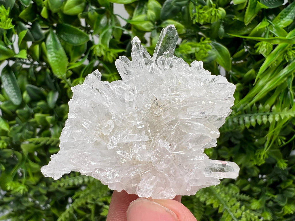 Transparent Quartz Specimen, Djurcovo Mine, Bulgaria, Rare Crystal Decor