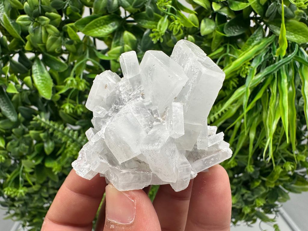 Barite Marcasite Chalcedony Cluster, Androvo Mine Bulgaria