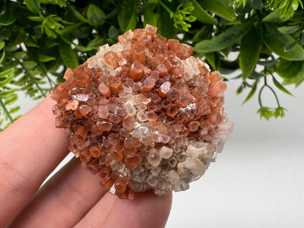 Extra Large Aragonite Sputnik Cluster: Moroccan Raw Crystal Stone