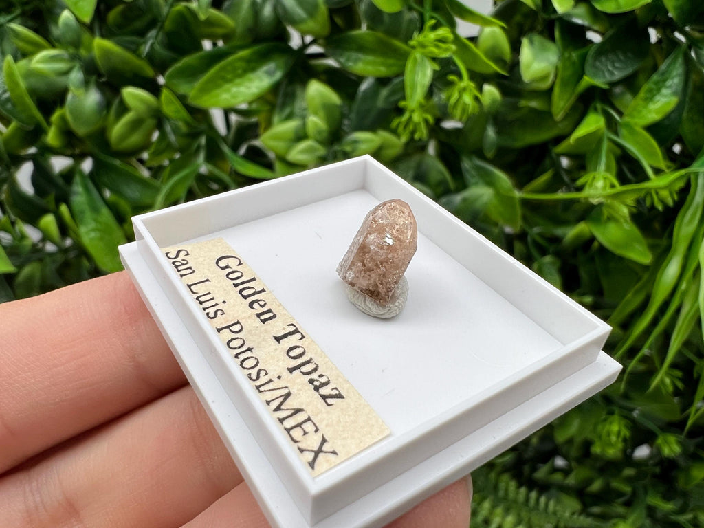 Beautiful Golden Topaz from Mexico,collection piece Crystal,Mineral,collectibles,Collectors, Natural Crystal, Minerals from Mexico,original,