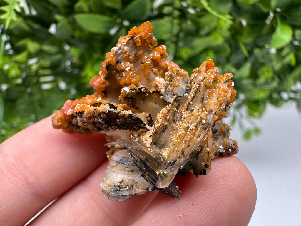Red Vanadinite on Barite from Marocco,crystal minerals Speciment cluster Vanadinite crystal Vanadinite Geology Vanadinite cluster minerals