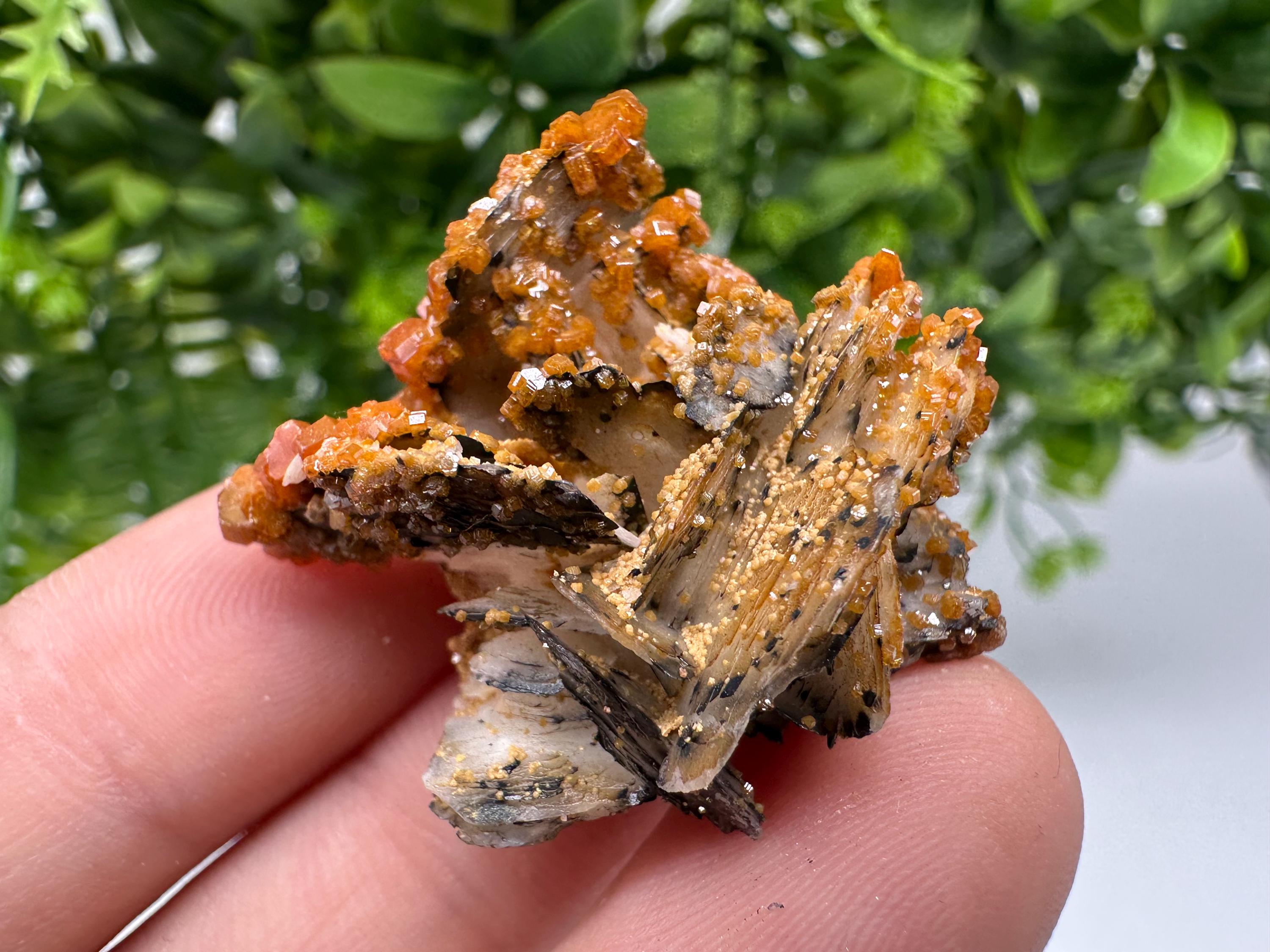 Red Vanadinite on Barite from Marocco,crystal minerals Speciment cluster Vanadinite crystal Vanadinite Geology Vanadinite cluster minerals