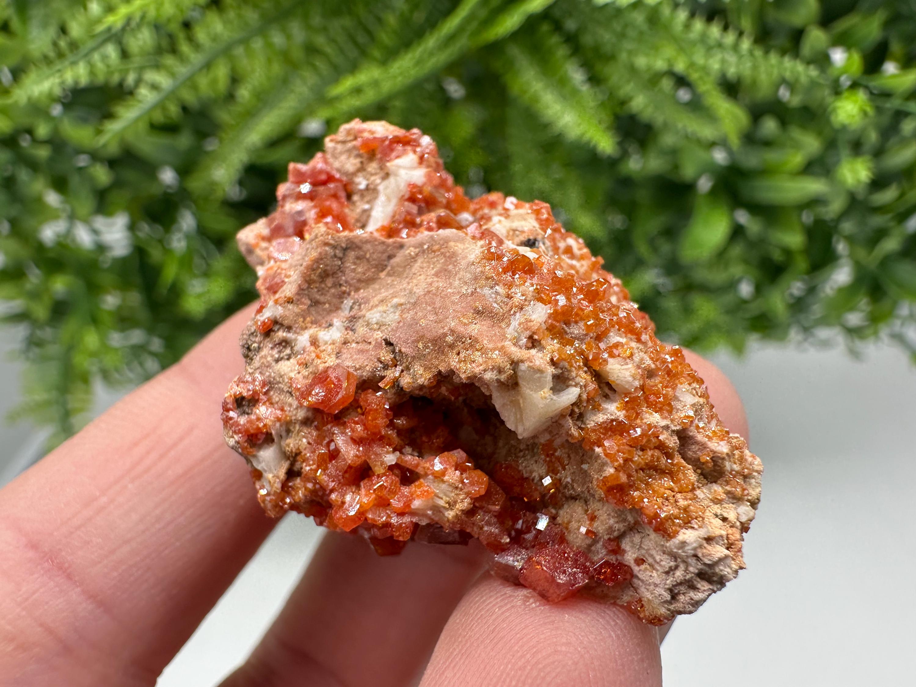 Red Vanadinite on Matrix from Marocco,crystal minerals Speciment cluster Vanadinite crystal Vanadinite Geology Vanadinite cluster minerals