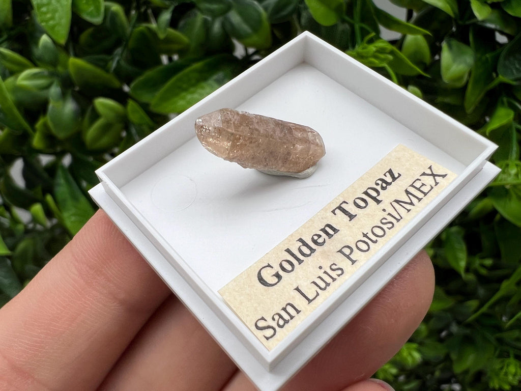 Mexican Golden Topaz Crystal, Mineral Collection Piece, Original
