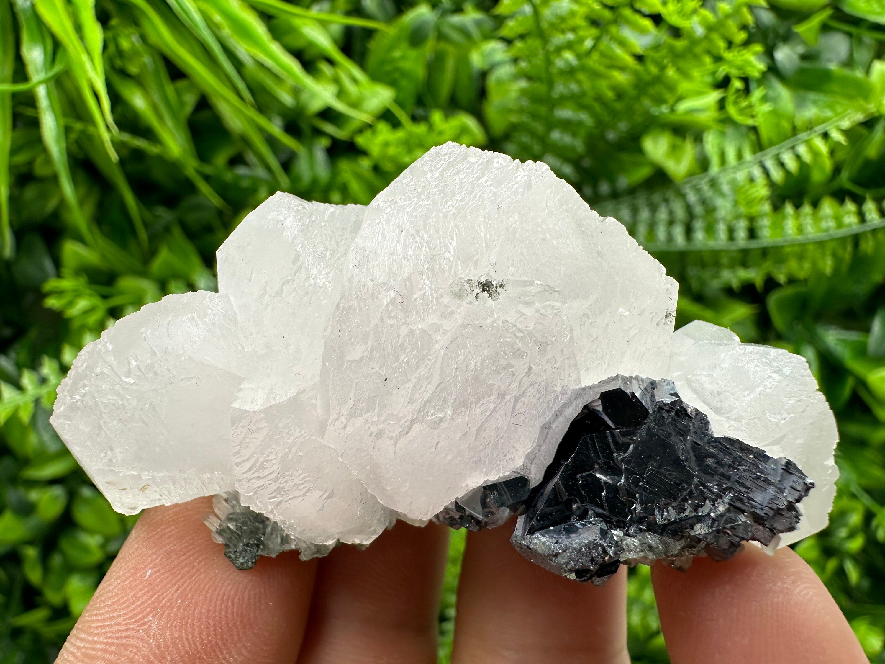 Fluorescent Calcite with Galena, Borieva Mine Crystal, Bulgaria