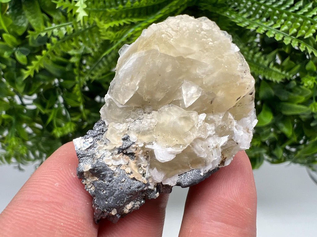 Calcite on Galena Specimen: Borieva Mine, Bulgaria