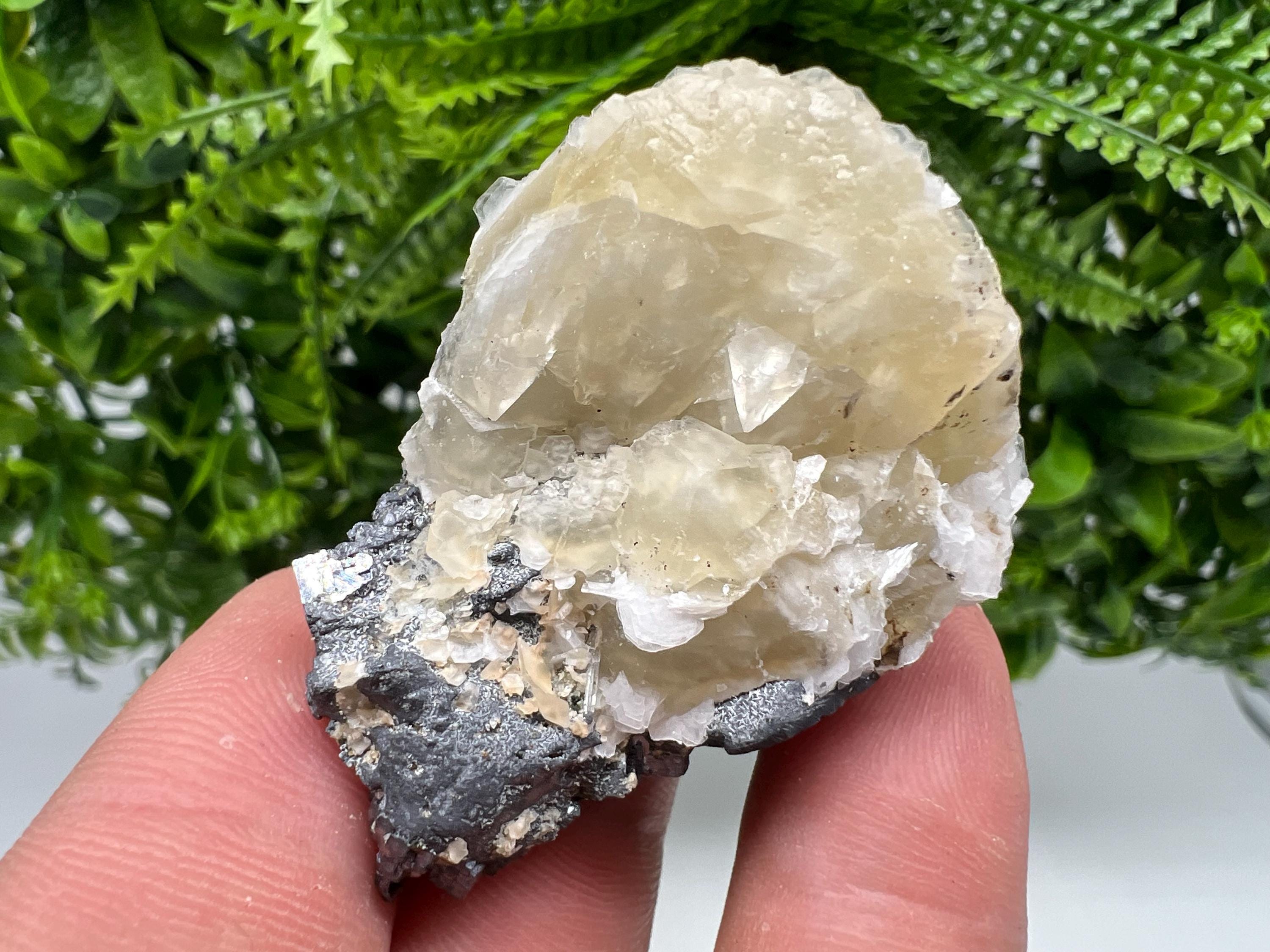 Calcite on Galena Specimen: Borieva Mine, Bulgaria