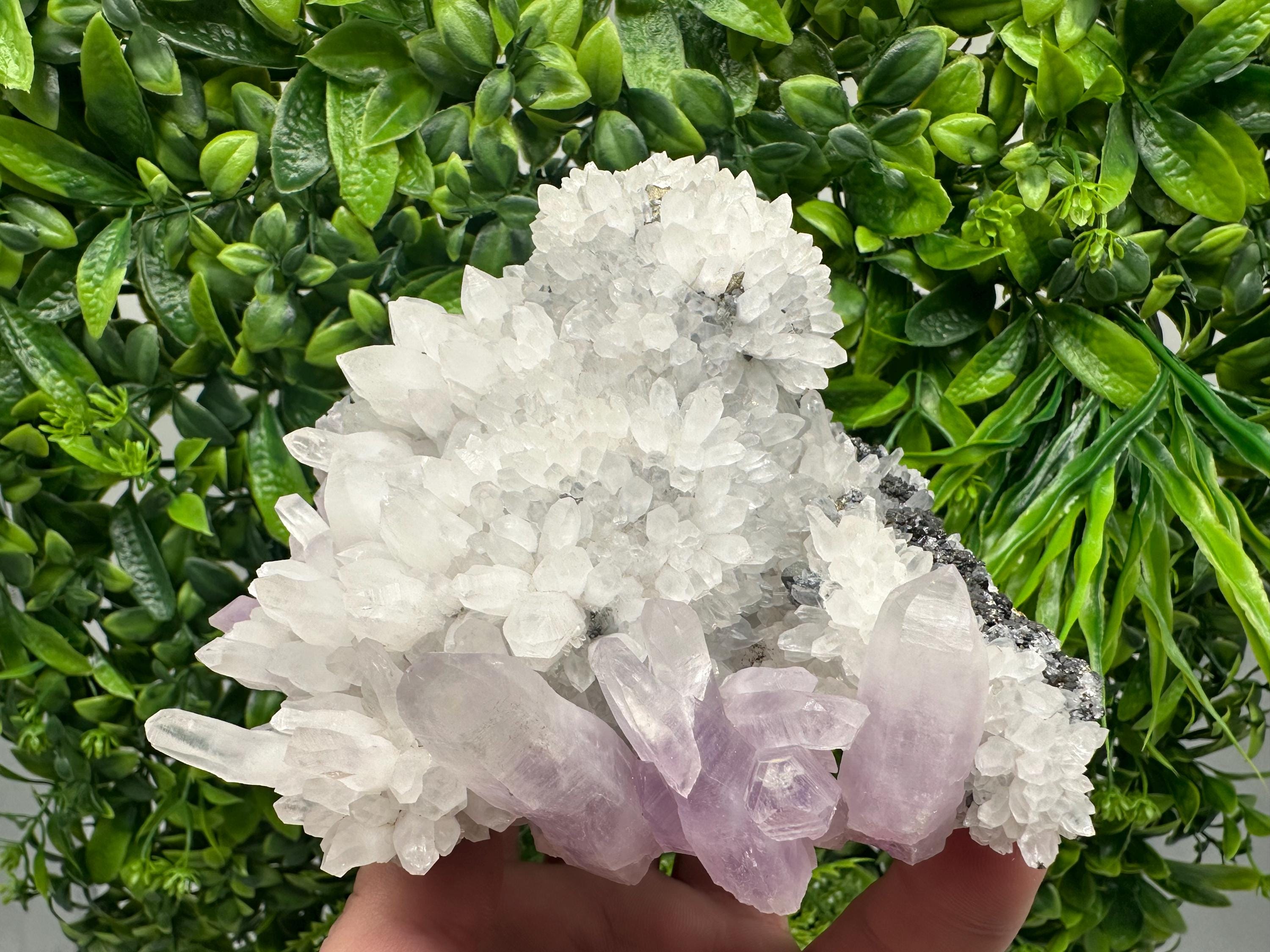 Quartz with Amethyst and Spahelrite, Djurcovo Mine, Bulgaria