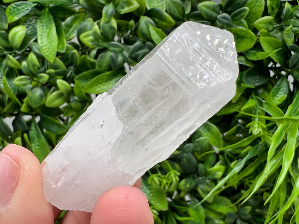 Wonderful Transparent Quartz on Chlorite Matrix,From Borieva mine,Madan,Bulgaria,Quartz,Quartz crystal,mineral specimen,collection quartz