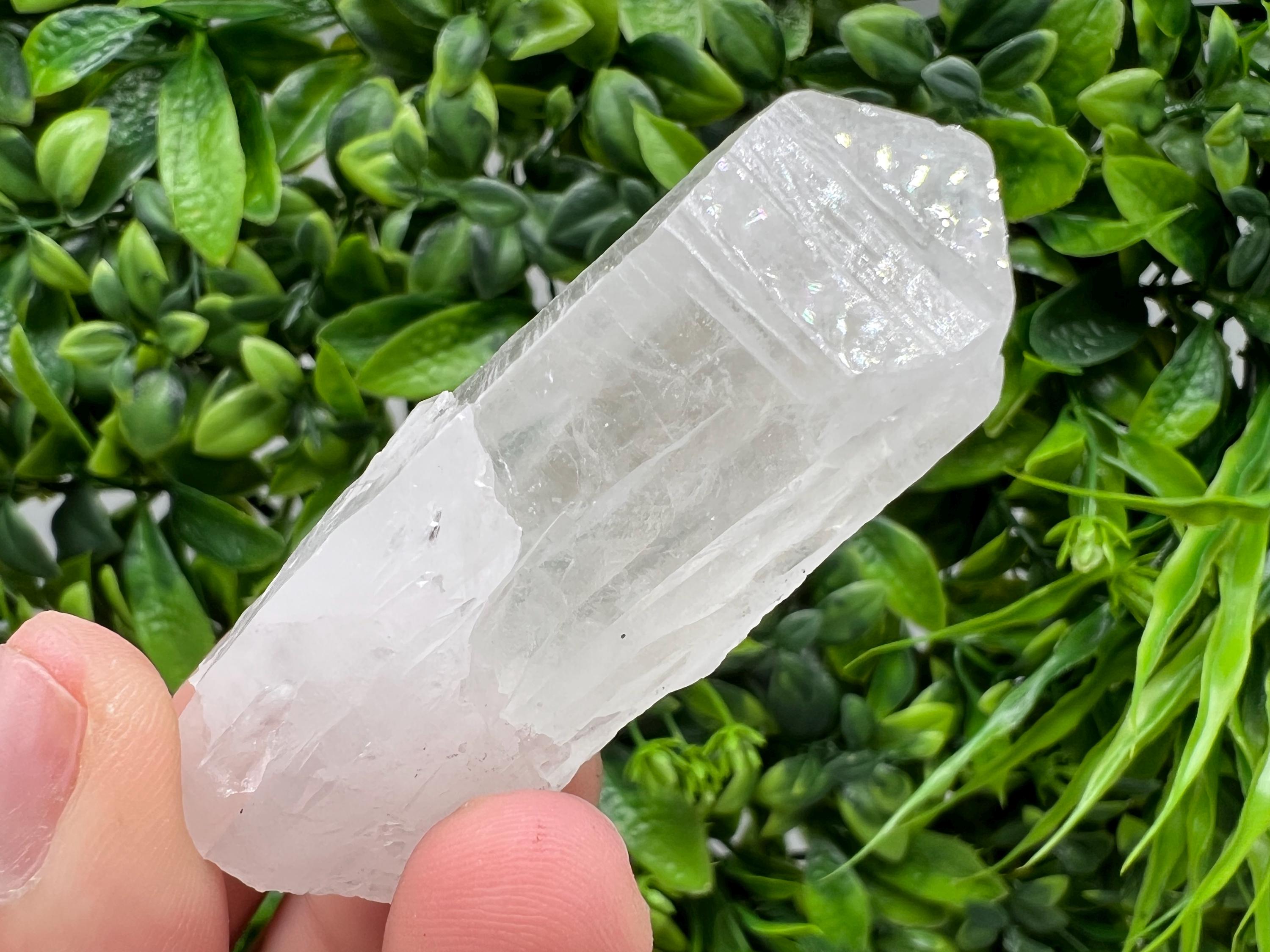 Wonderful Transparent Quartz on Chlorite Matrix,From Borieva mine,Madan,Bulgaria,Quartz,Quartz crystal,mineral specimen,collection quartz
