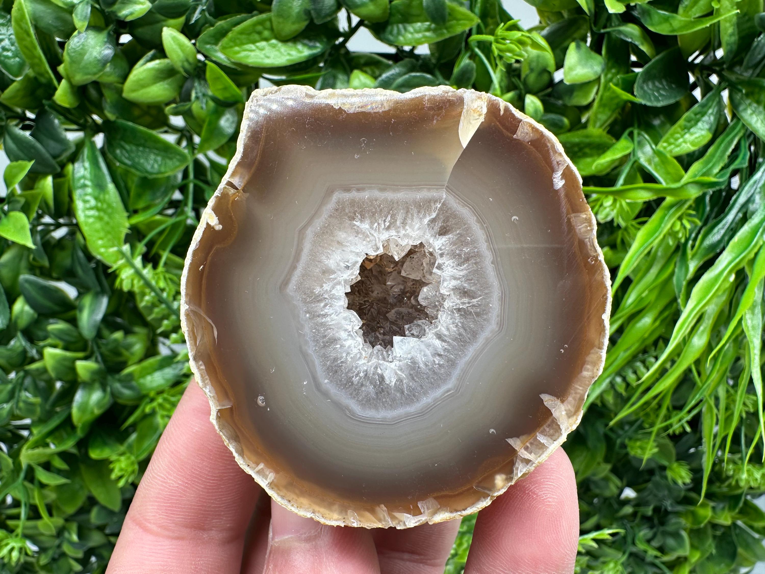 Natural Agate Druzy Geode: Quartz Crystal, 264 grams