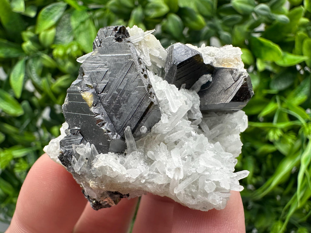 Wonderful Sphalerite Chalcopyrite on  Quartz whit Galena feom 9 th September mine,Bulgaria,natural,collection mineral specimen,gift
