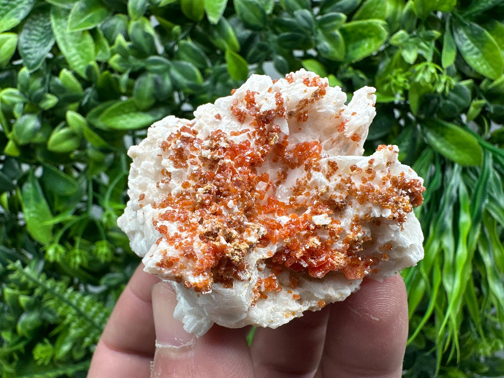 Red Vanadinite Crystal on Barite Matrix, Morocco Mineral Specimen