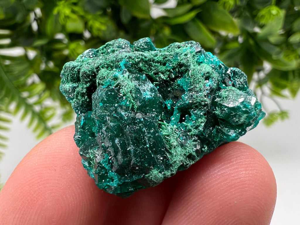 Stunning Green Dioptase from Sanda Hills,Mindouli,Pool Department,Mindouli District,Congo,green Dioptase,Dioptas Crystal,Dioptase collecting