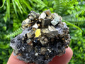 Rainbow Pyrite on Sphalerite & Quartz, Borieva Mine, Bulgaria