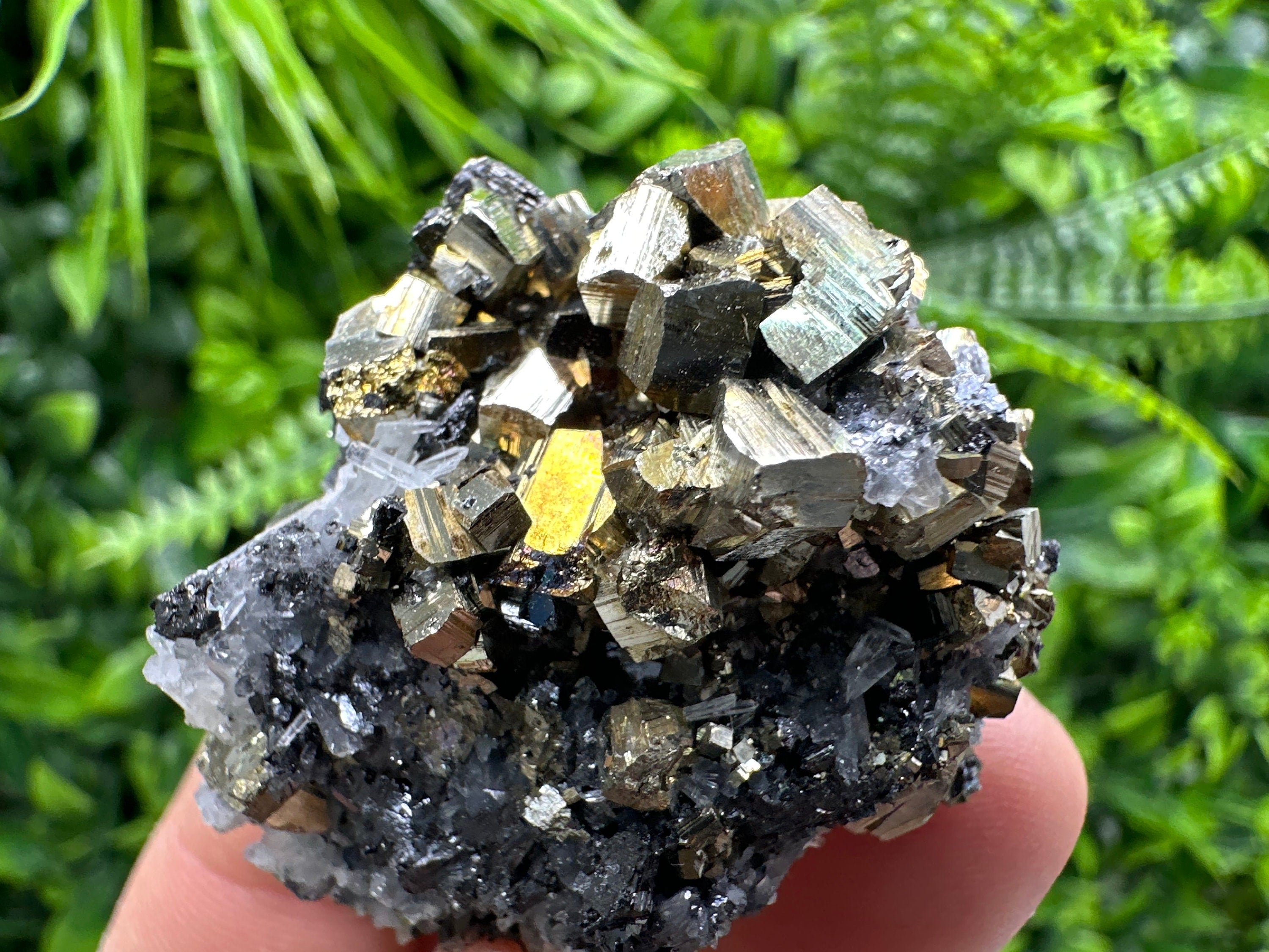 Rainbow Pyrite on Sphalerite & Quartz, Borieva Mine, Bulgaria