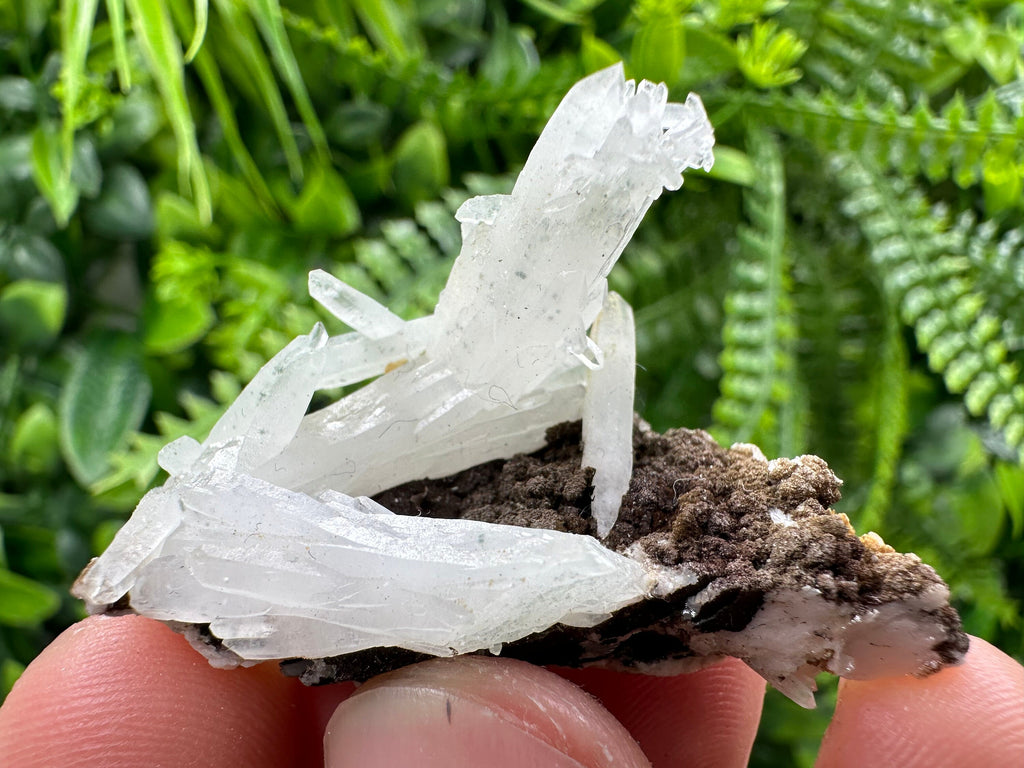 Quartz with Chlorite, Rhodochrosite and Siderite Crystal Mineral Specimen