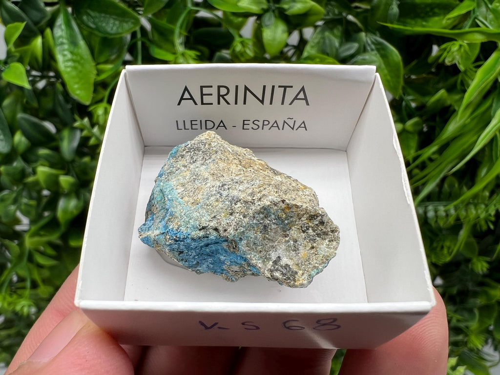 Rare Raw Aerinite Mineral Specimen: Lleida, Spain (3.5/3.5 CM)