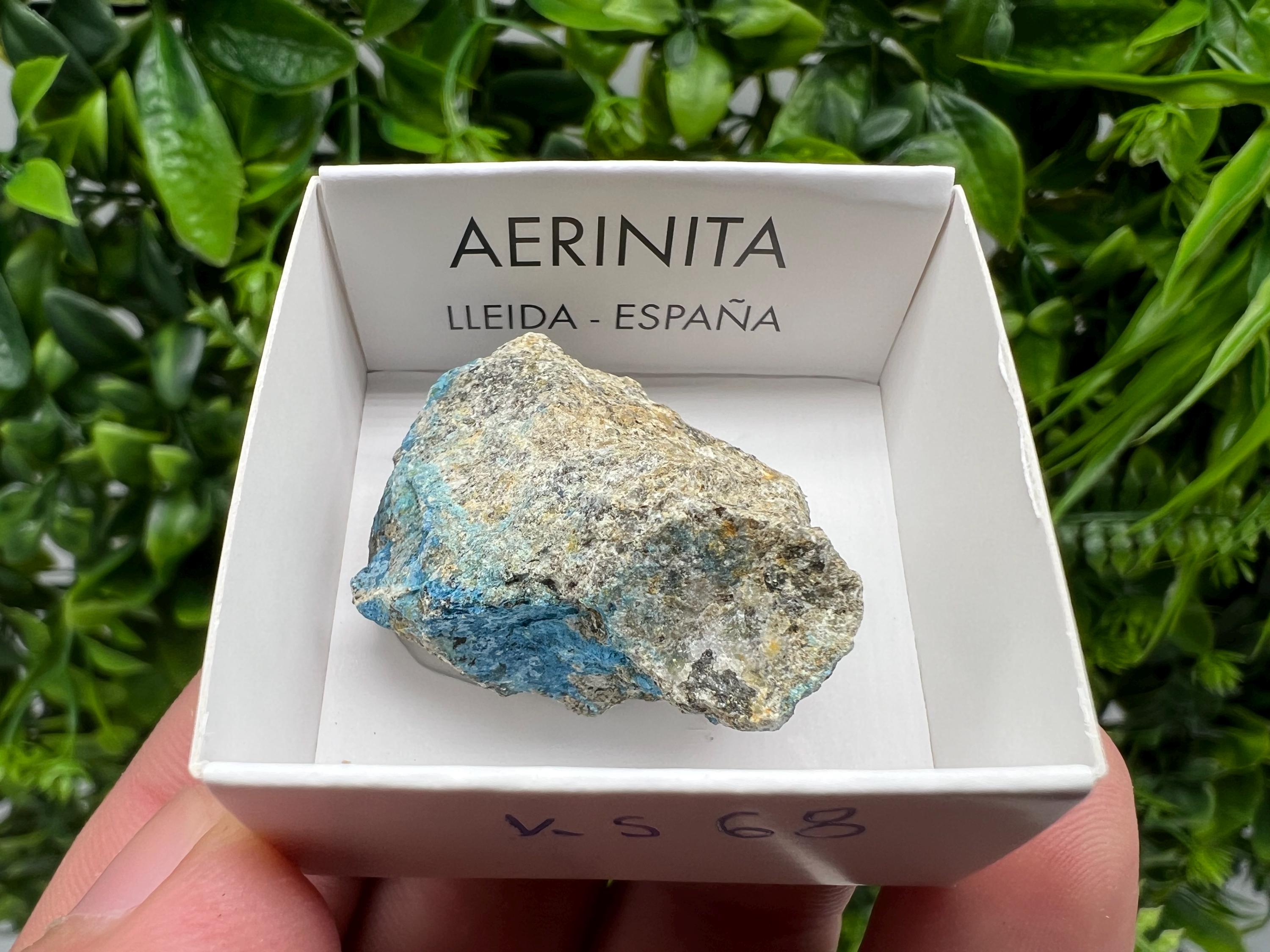 Rare Raw Aerinite Mineral Specimen: Lleida, Spain (3.5/3.5 CM)