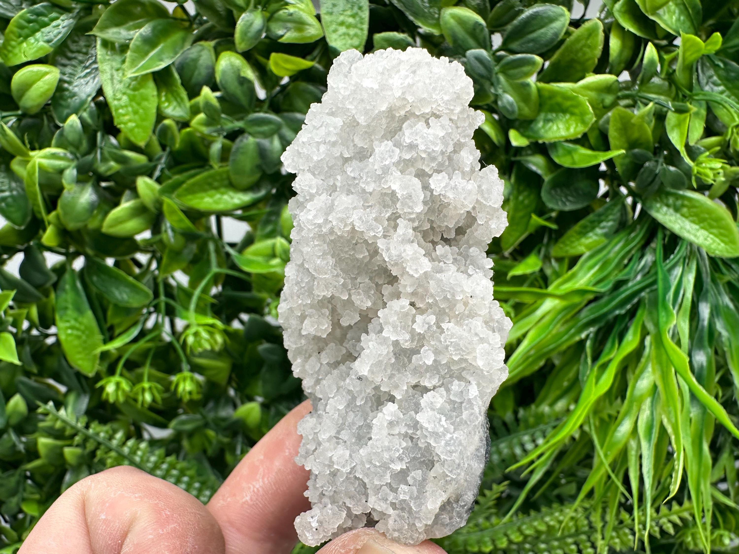 Natural Chalcedony Specimen: India Crystal Mineral Collection