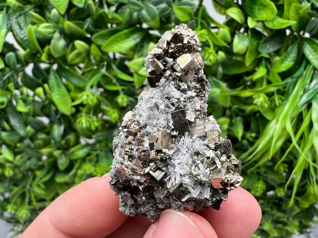 Pyrite on Green Quartz Mineral Specimen, Borieva Mine Bulgaria
