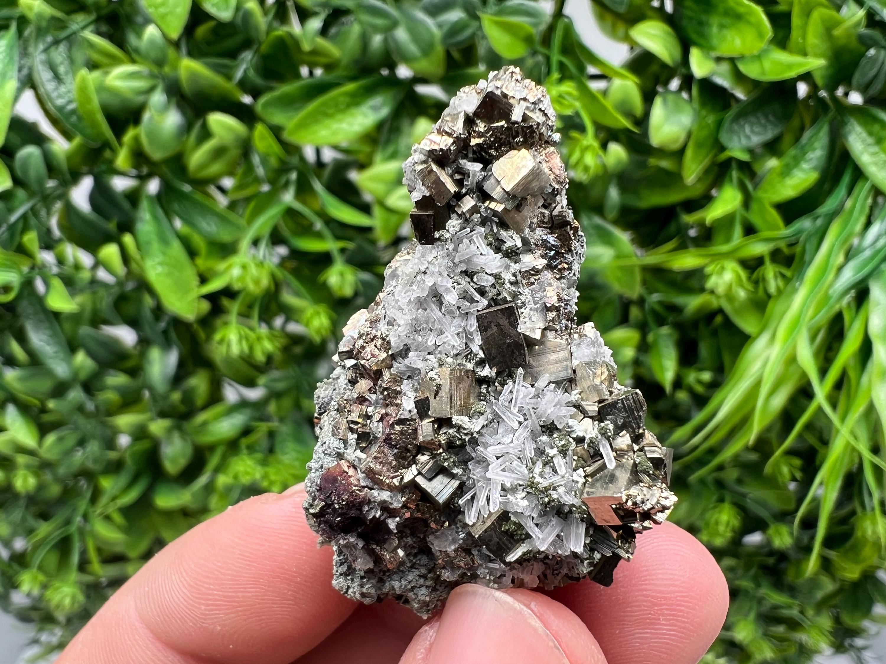 Pyrite on Green Quartz Mineral Specimen, Borieva Mine Bulgaria