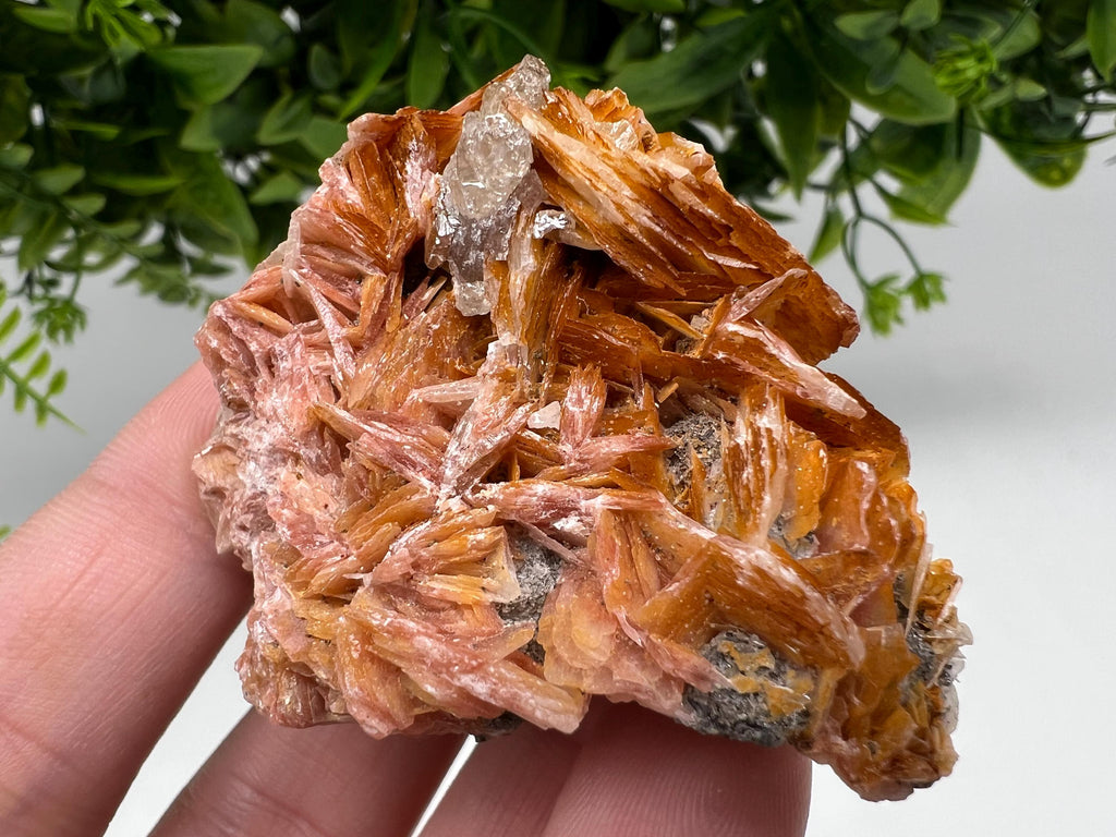 Wonderful Baryte with Cerussite on Galena from Morocco,Crystal, Mineral,Specimen,Cluster,Crystals,Barite Crystal,Cerussite Crystal,Specimen