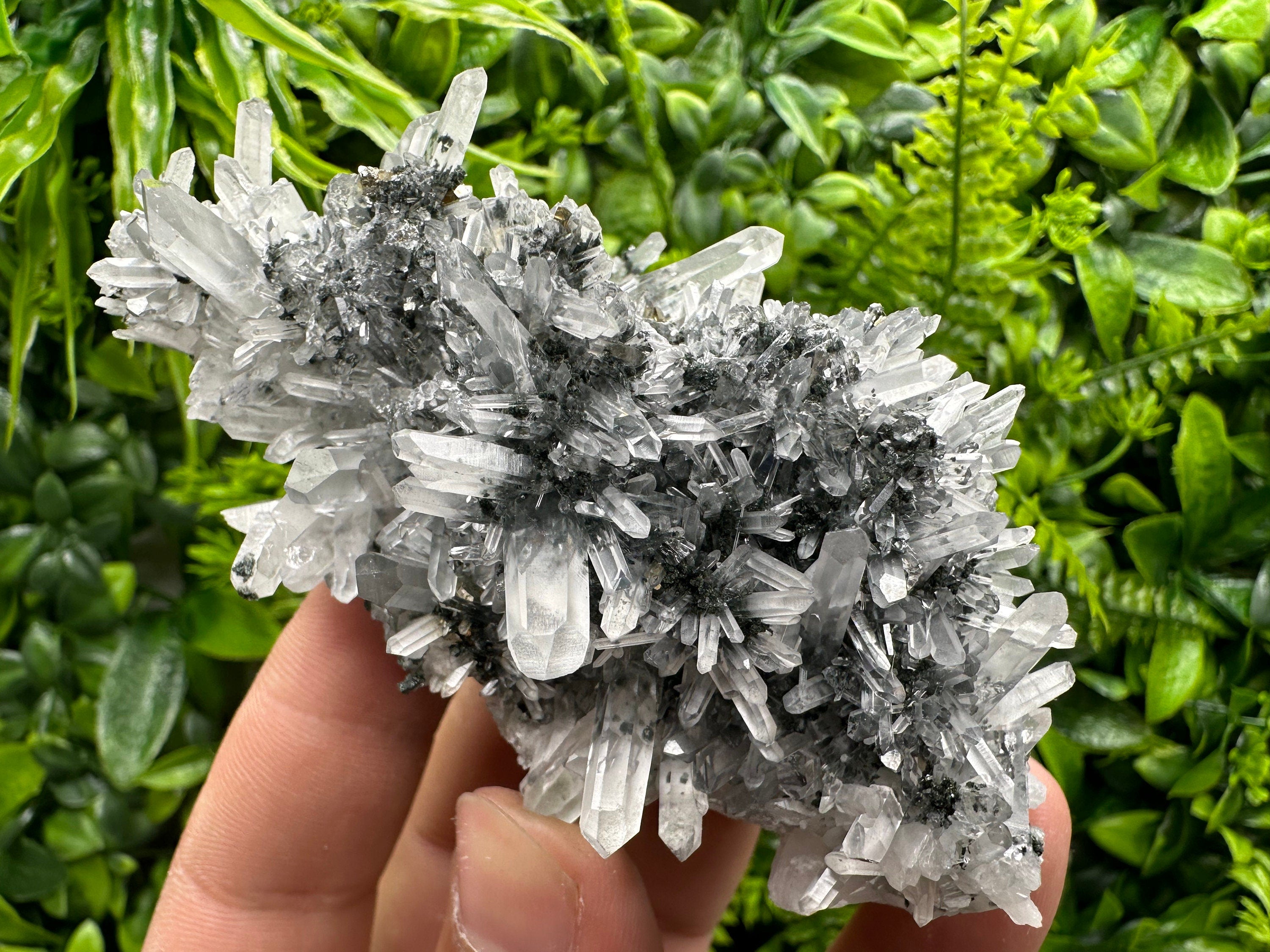 Pyrite Hematite Quartz Calcite Crystal Mineral Specimen