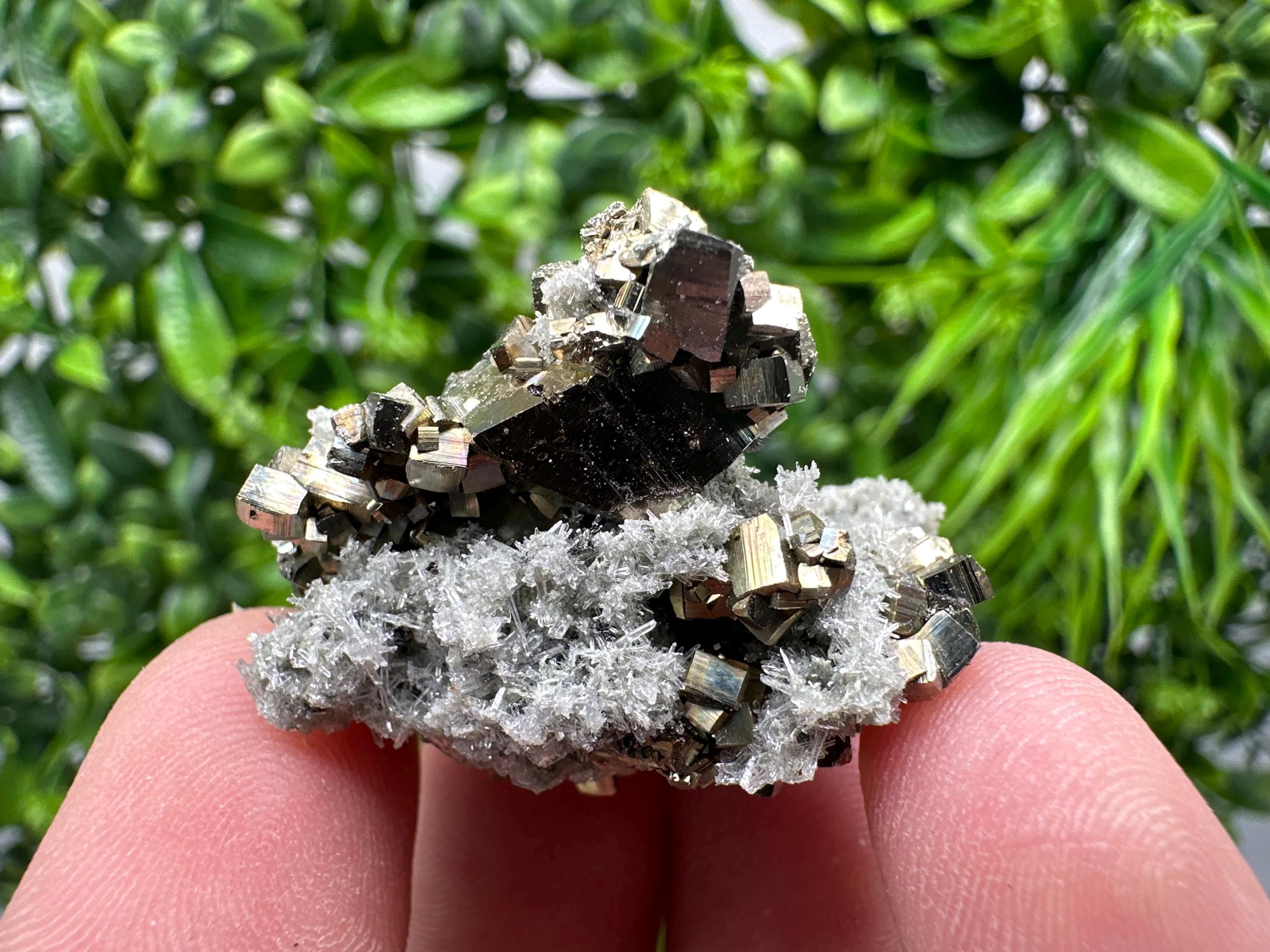 Pyrite on Green Quartz, Borieva Mine Mineral Specimen, Home Decor Stone