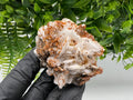 Red Vanadinite on Barite from Marocco,crystal minerals Speciment cluster Vanadinite crystal Vanadinite Geology Vanadinite cluster minerals