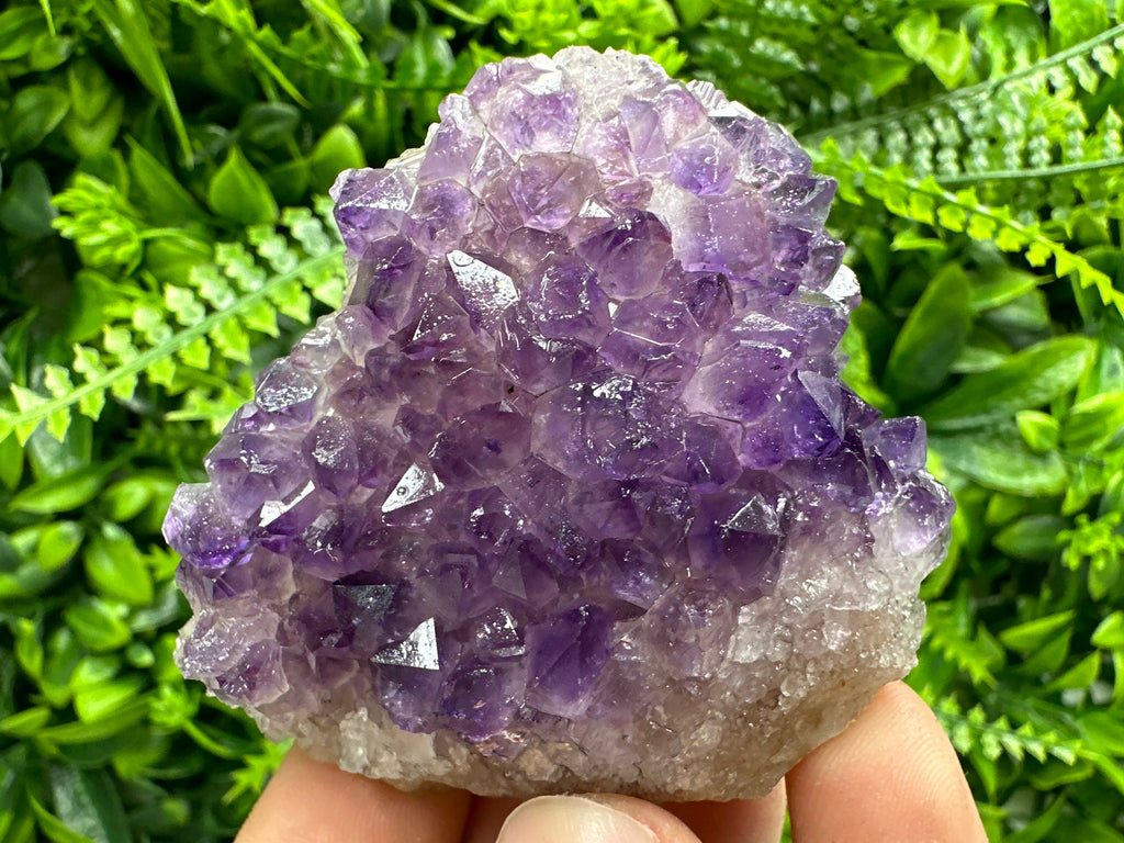 Uruguay Amethyst Cluster: Purple Quartz Crystal, Home Decor (6/7/4cm)