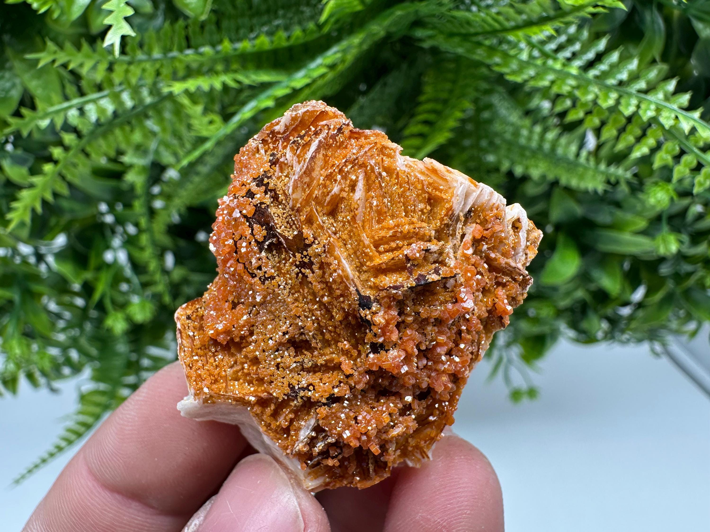 Red Vanadinite on Barite, Morocco Crystal Specimen