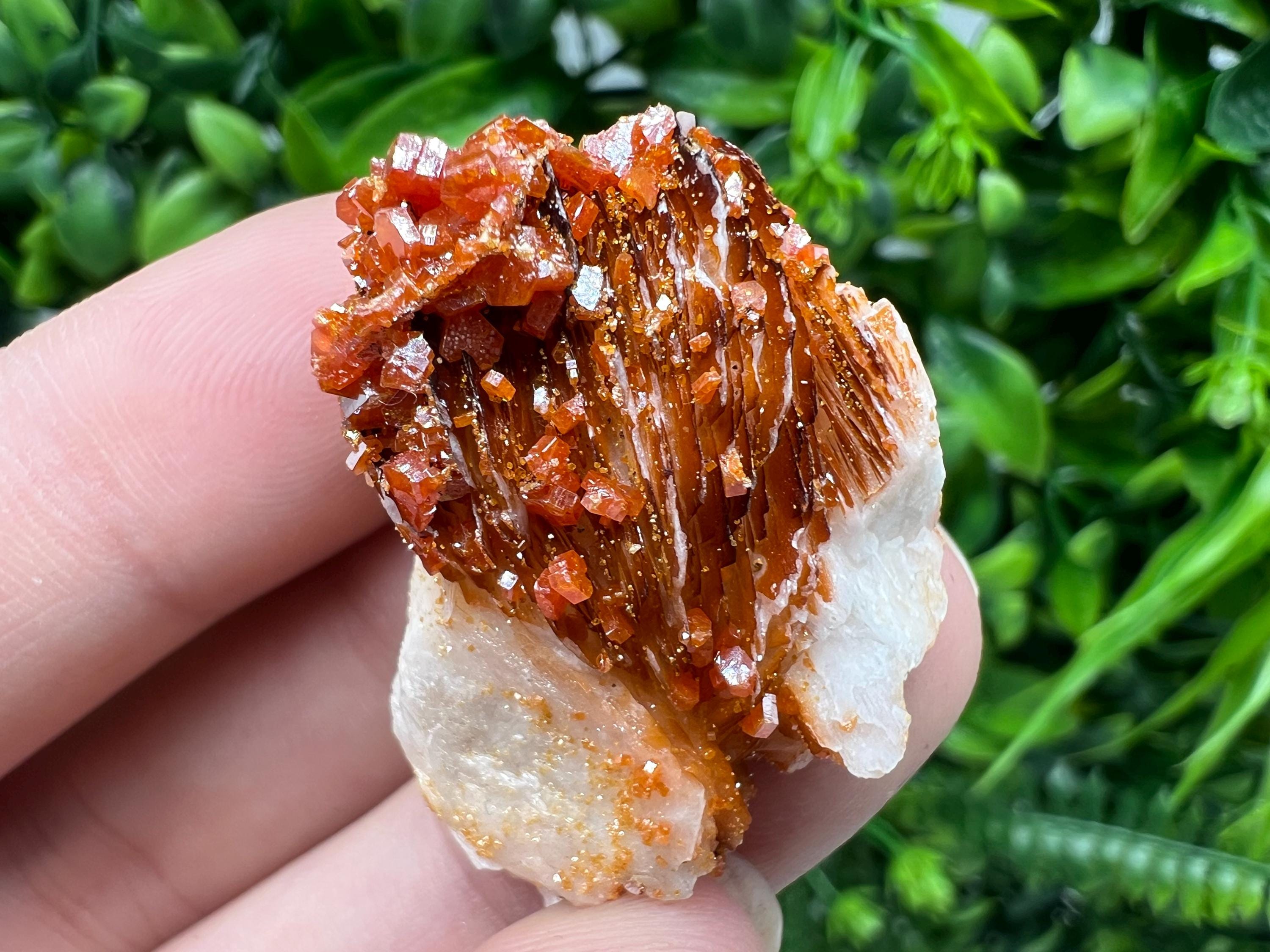 Red Vanadinite on Barite from Marocco,crystal minerals Speciment cluster Vanadinite crystal Vanadinite Geology Vanadinite cluster minerals