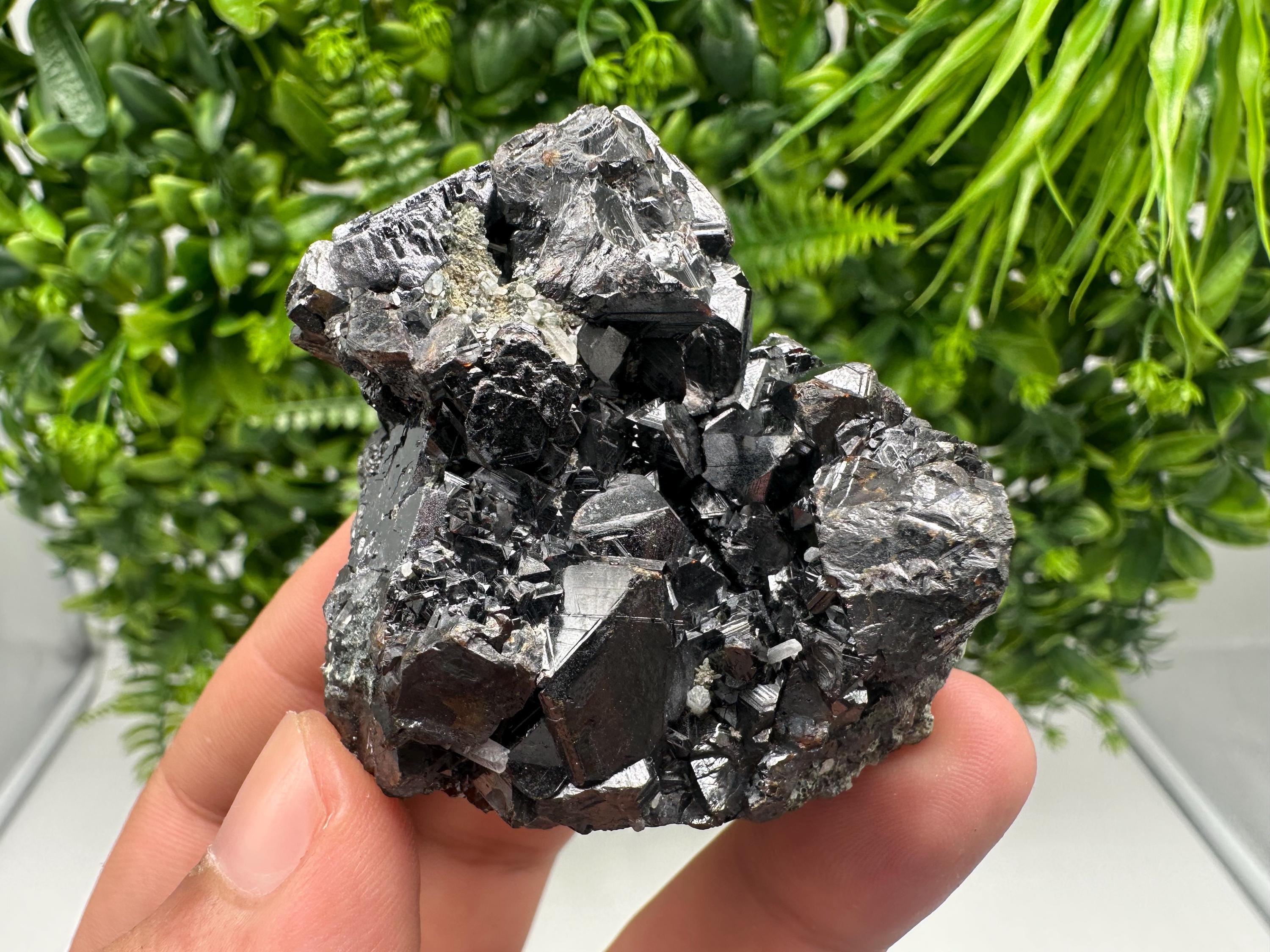 Sphalerite with Chlorite, Borieva Mine, Madan, Bulgaria