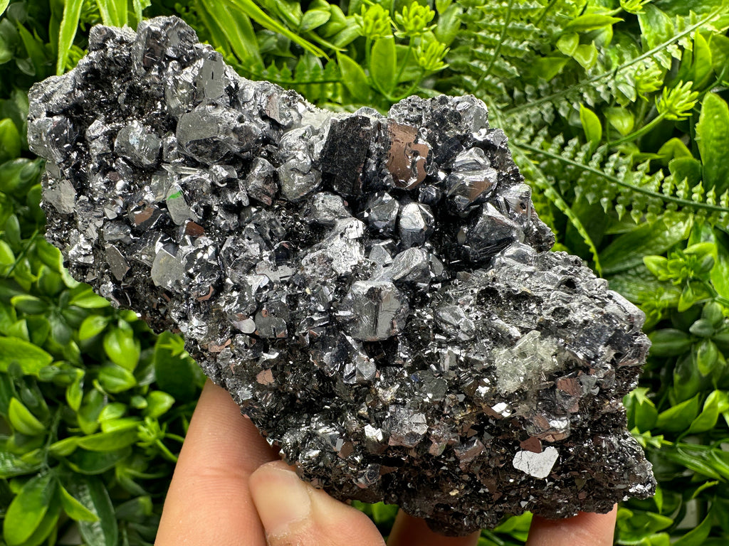 Mirror Galena on Sphalerite, Borieva Mine Mineral Specimen