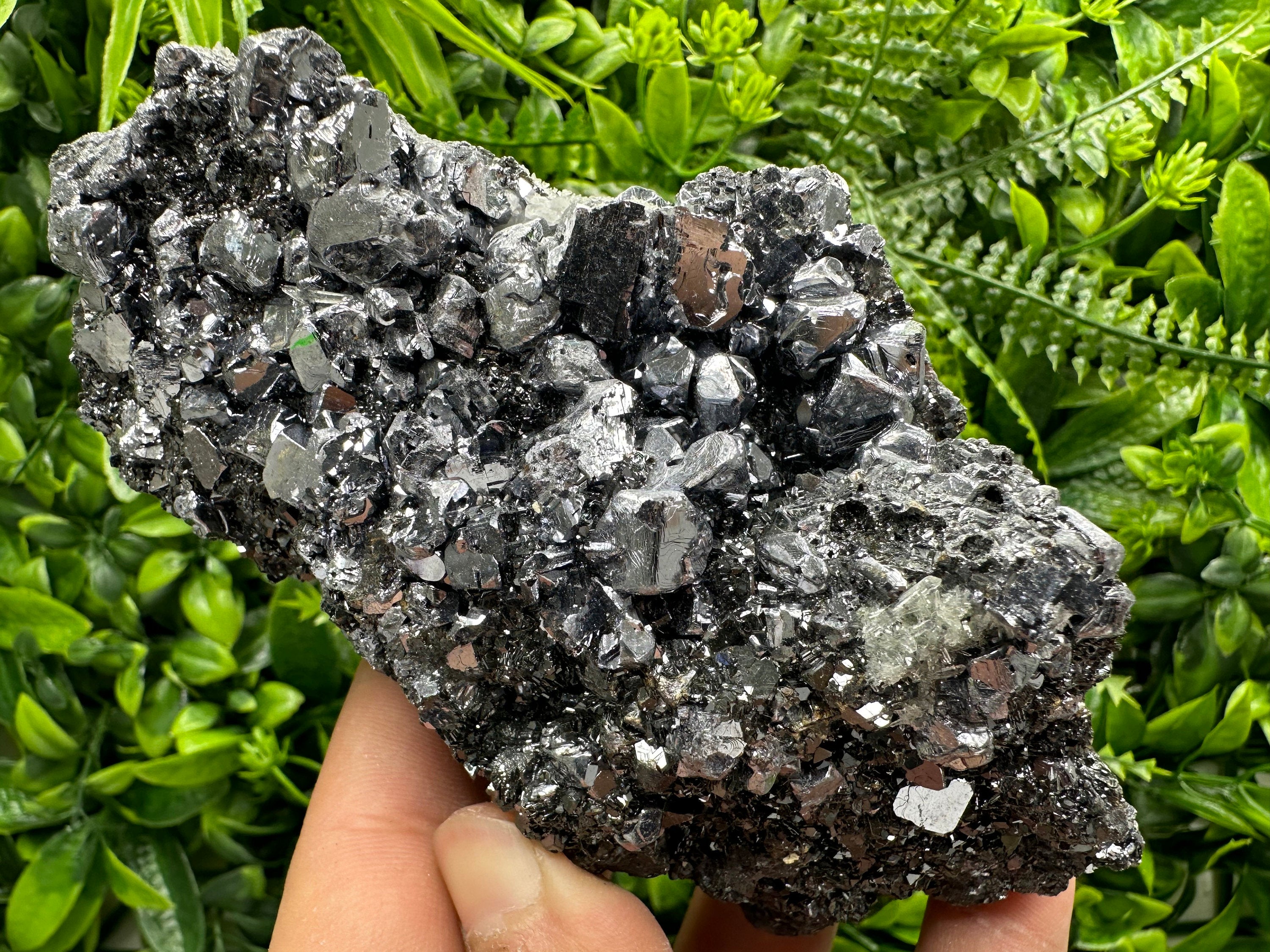 Mirror Galena on Sphalerite, Borieva Mine Mineral Specimen