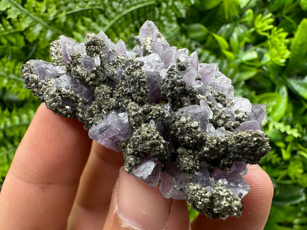 Amethyst with Pyrite: Natural Crystal Mineral Souvenir