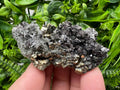 Pyrite on Green Quartz, Bulgaria Mineral Specimen, Home Decor Stone