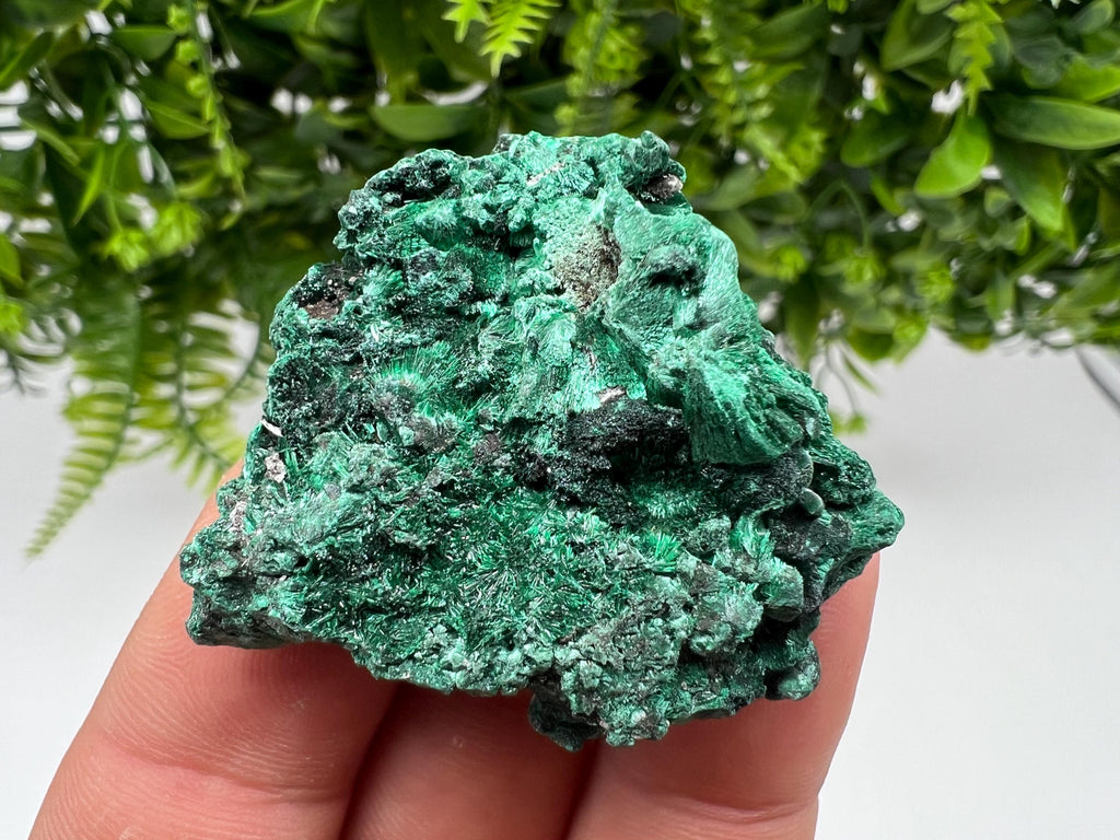 Malachite Crystal from Congo,Minerals,Crystals from Congo,Green Malachite, Malachite,Natural Malachite,Malachite Stone,Chakra, Specimens