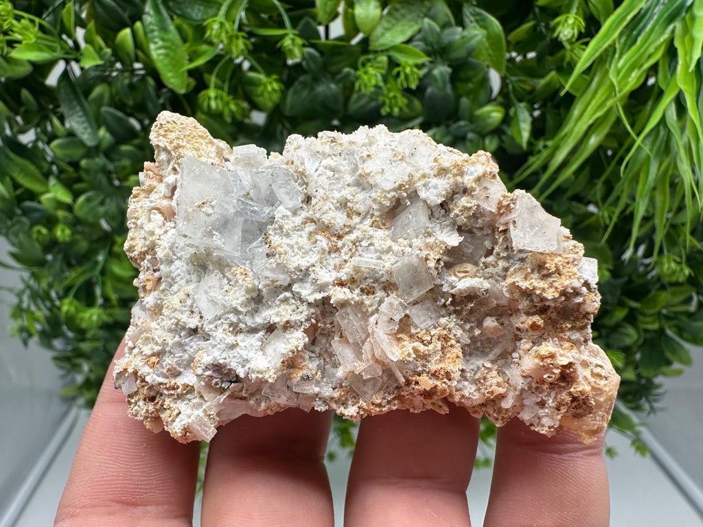 Dolomite Mangano Calcite with Barite on Marcasite, Androvo Mine Bulgaria
