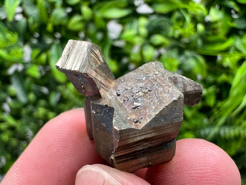 Mini Rare crystallisation Pyrite,Borieva mine,Bulgaria,floating Pyrite,golden Pyrite,Pyrite cluster,mini Collection specimen,Rainbow Pyrite