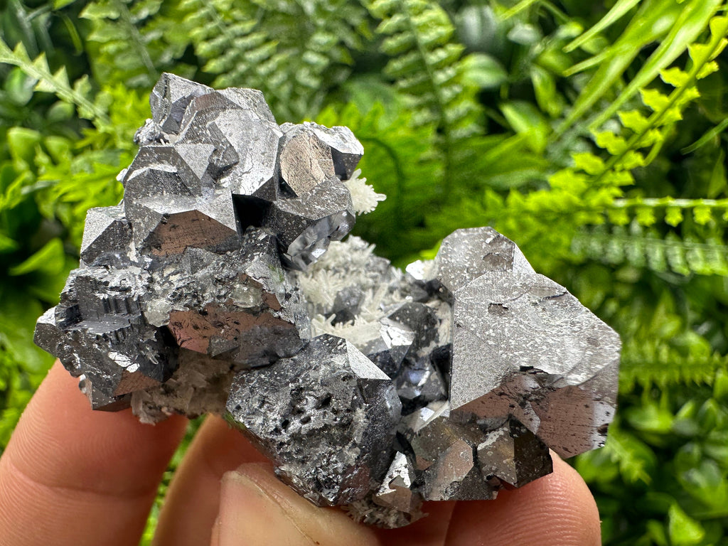 Shiny Galena on Quartz, Borieva Mine, Bulgaria