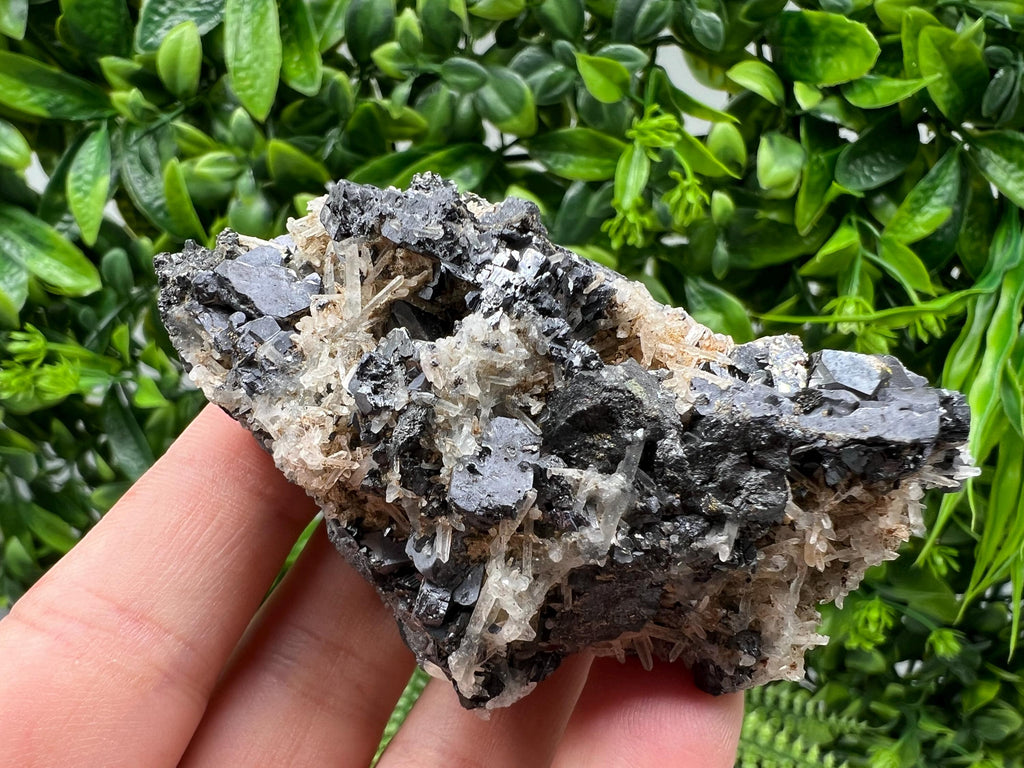 Galena Cluster with Siderite and Quartz, 9th September Mine, Bulgaria