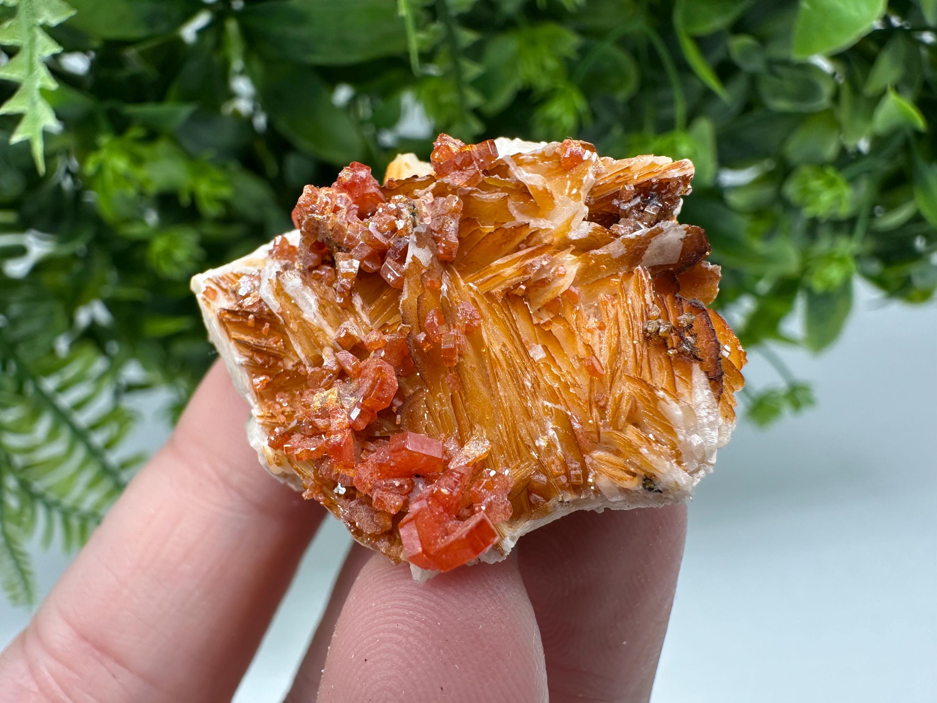 Red Vanadinite on Barite Crystal Specimen, Moroccan Mineral Cluster