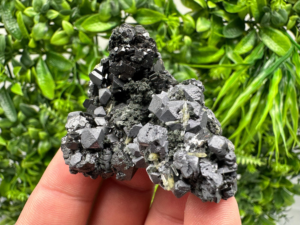 Sphalerite Galena Chlorite Cluster, Borieva Mine, Bulgaria