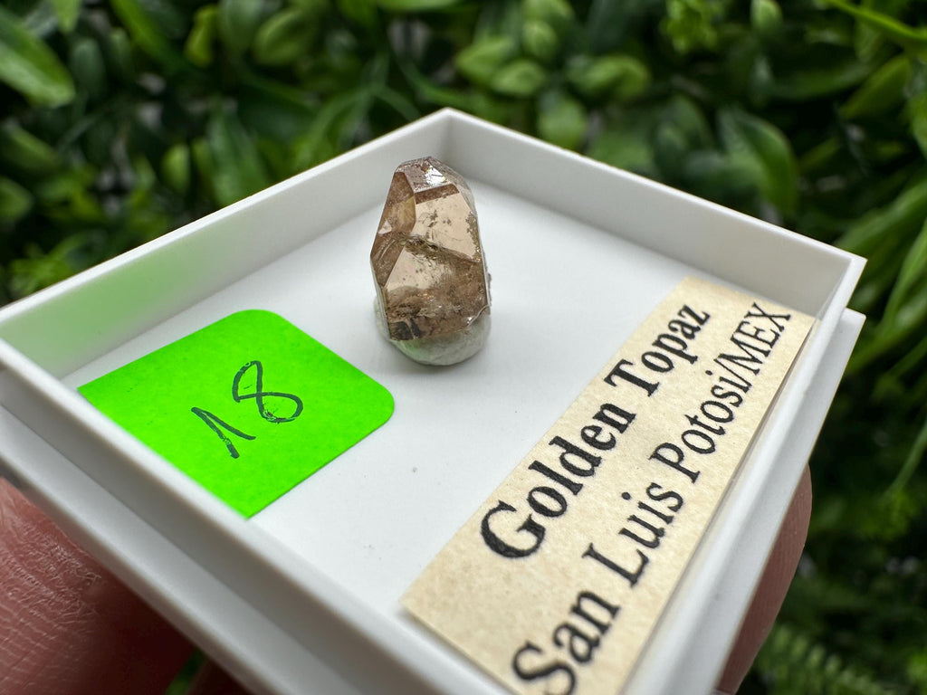 Golden Topaz Crystal, Mineral Specimen from Mexico