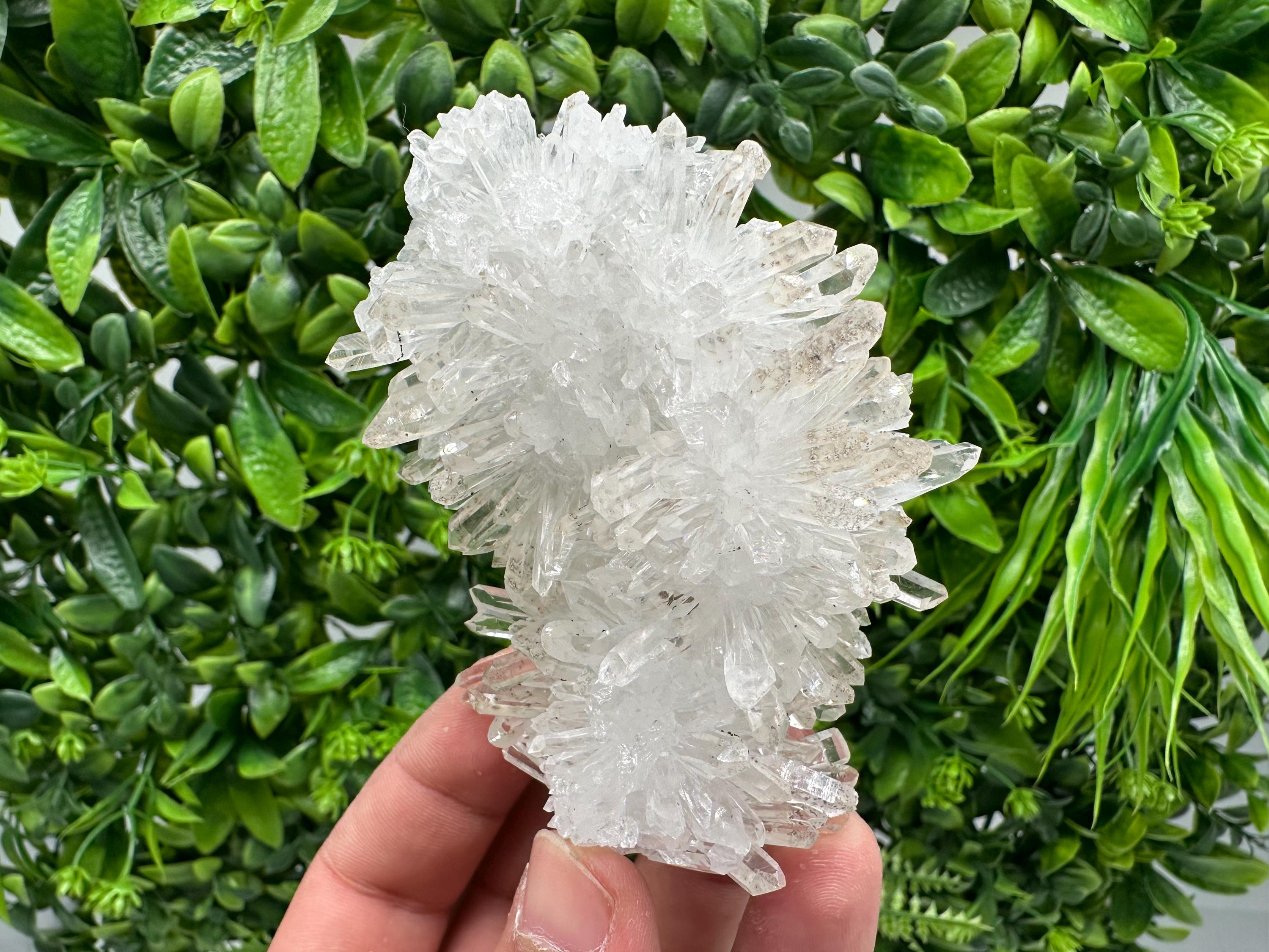 Wonderful Transparent Quartz on Chlorite Matrix,From Borieva mine,Madan,Bulgaria,Quartz,Quartz crystal,mineral specimen,collection quartz